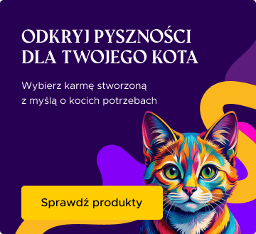 Odkryj pyszności dla Twojego kota